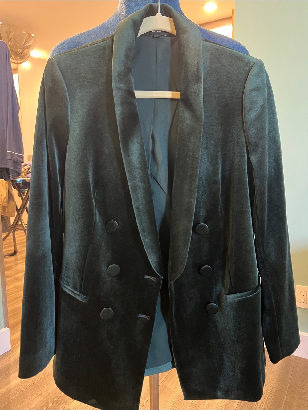 Express Velvet Blazer in Dark Green